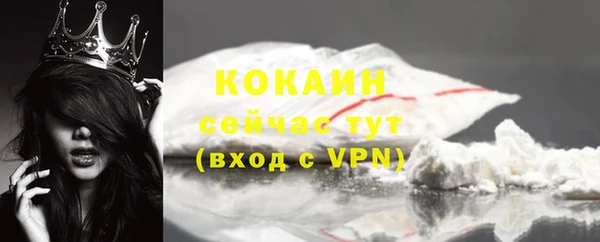 винт Касимов