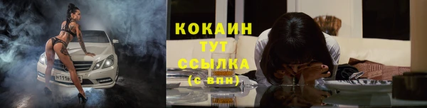 винт Касимов