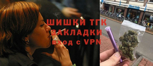 винт Касимов